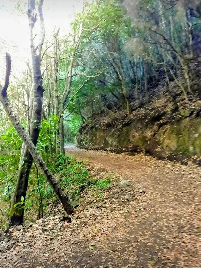 Un Paraiso En Tenerife Punta Del Hidalgo