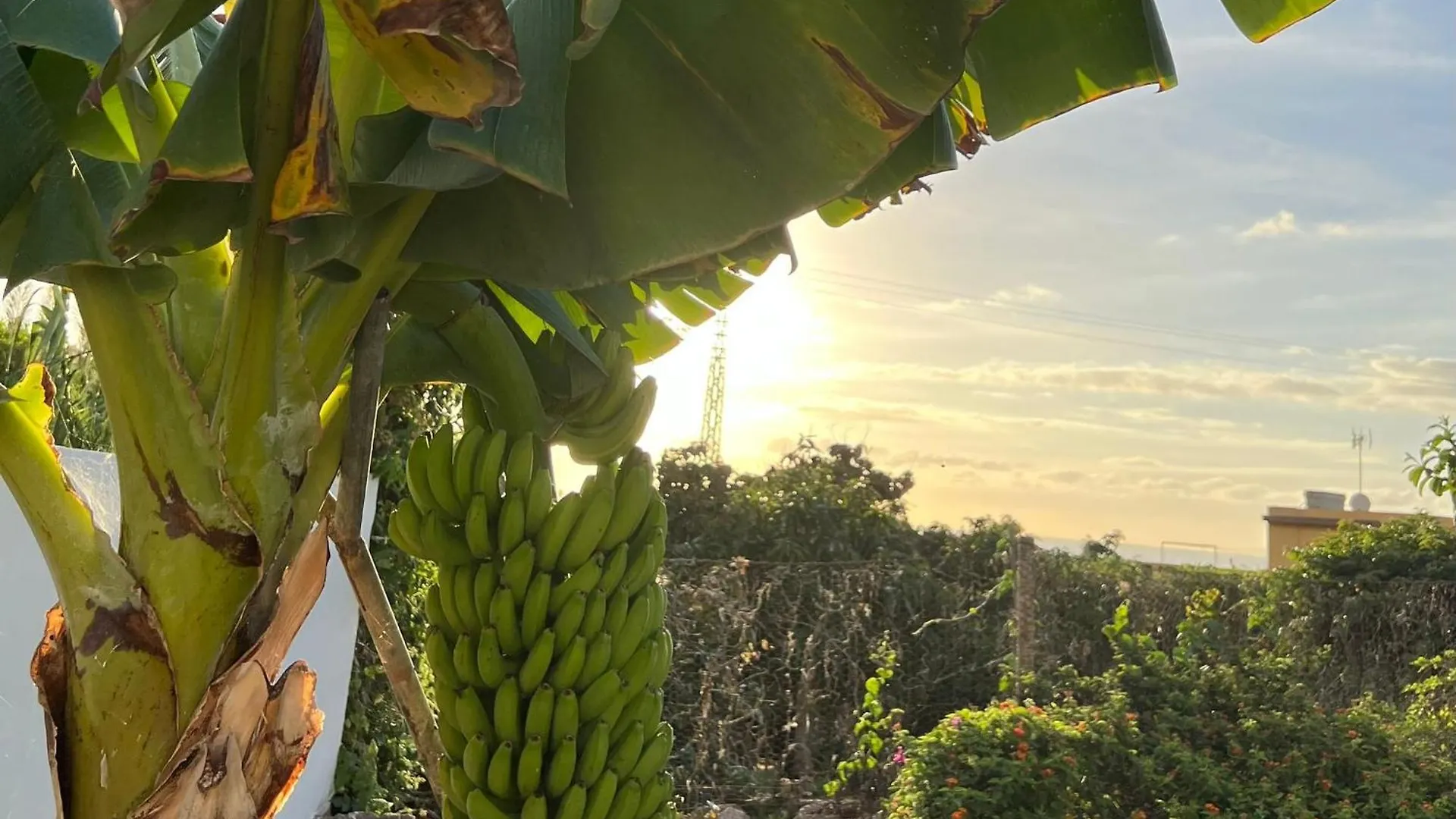 Prázdninový dům Un Paraiso En Tenerife Punta Del Hidalgo